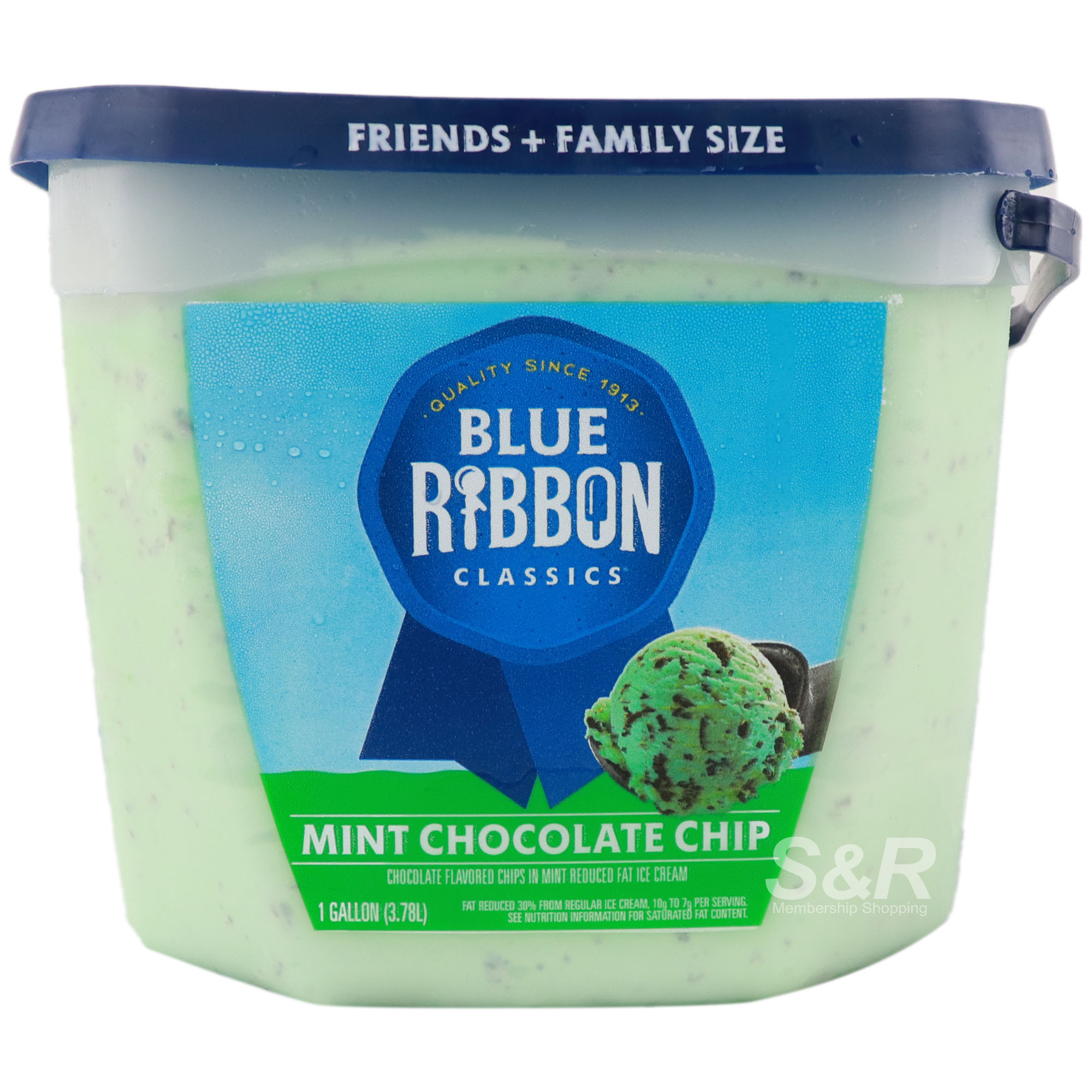 Blue Ribbon Classics Ice Cream Mint Chocolate Chip Flavor 3.78L Blue Ribbon Classics Ice Cream Mint Chocolate Chip Flavor 3.78L